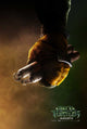 Teenage Mutant Ninja Turtles Movie Poster Print - 11x17