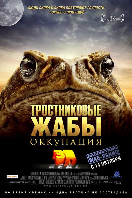 Cane Toads: The Conquest Movie Poster Print showcasing vibrant imagery.