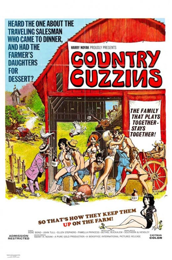 Country Cuzzins Movie Poster Print showcasing vibrant colors and classic film charm.