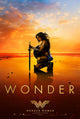 Wonder Woman Movie Poster Print - 27x40 | Posterazzi