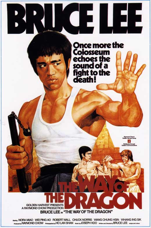 The Way of the Dragon Movie Poster Print 11x17