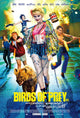 Birds of Prey Movie Poster Print featuring dynamic artwork.