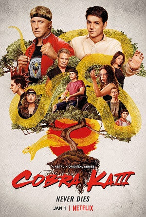Cobra Kai Movie Poster Print - 11x17 | Pop Culture Graphics