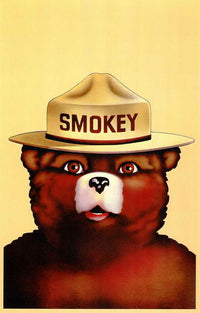 Smokey the Bear Movie Poster Print (11 x 17) | Posterazzi