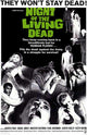 Night of the Living Dead Movie Poster Print (11x17)