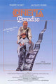Cinema Paradiso Movie Poster Print in 11 x 17 size.