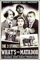 What's the Matador Movie Poster Print, vibrant film artwork