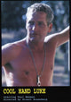 Cool Hand Luke Movie Poster Print featuring classic film artwork