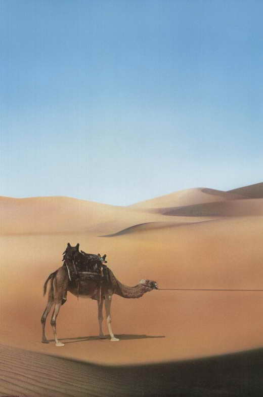 Ishtar Movie Poster Print featuring classic comedy film.