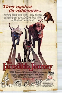 The Incredible Journey Movie Poster Print (11x17) | Posterazzi