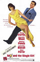 Sex and the Single Girl Movie Poster Print showcasing classic film art
