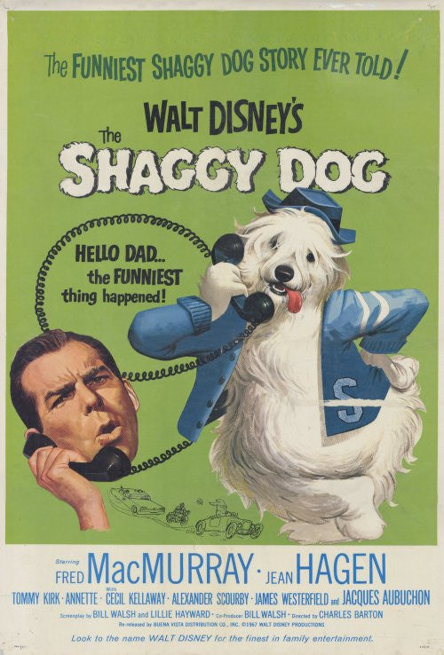 The Shaggy Dog Movie Poster Print - 11x17 | Posterazzi