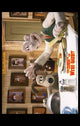 Wallace & Gromit: The Curse of the Were-Rabbit Movie Poster Print (11x17)