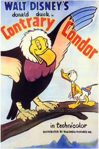 Contrary Condor Movie Poster Print 27x40, vibrant film art