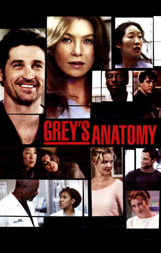 Grey's Anatomy Movie Poster Print (11x17) - Pop Culture Graphics