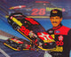 Davey Allison Movie Poster Print (11 x 17)