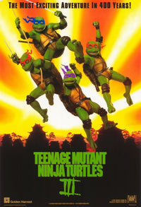 Teenage Mutant Ninja Turtles 3 Movie Poster Print - 11x17
