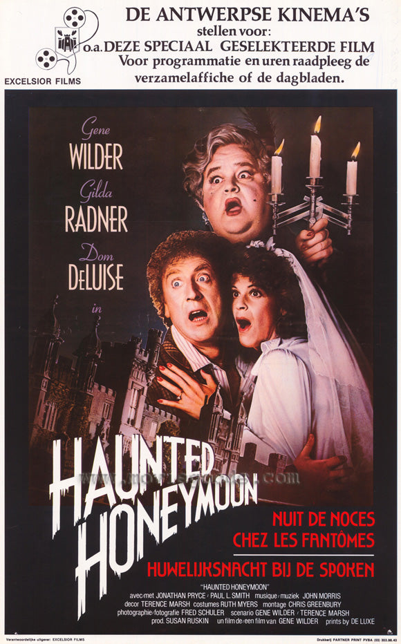 Haunted Honeymoon Movie Poster Print 11 x 17