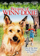 Because of Winn Dixie Movie Poster Print (11x17) - Item # MOVGI0984