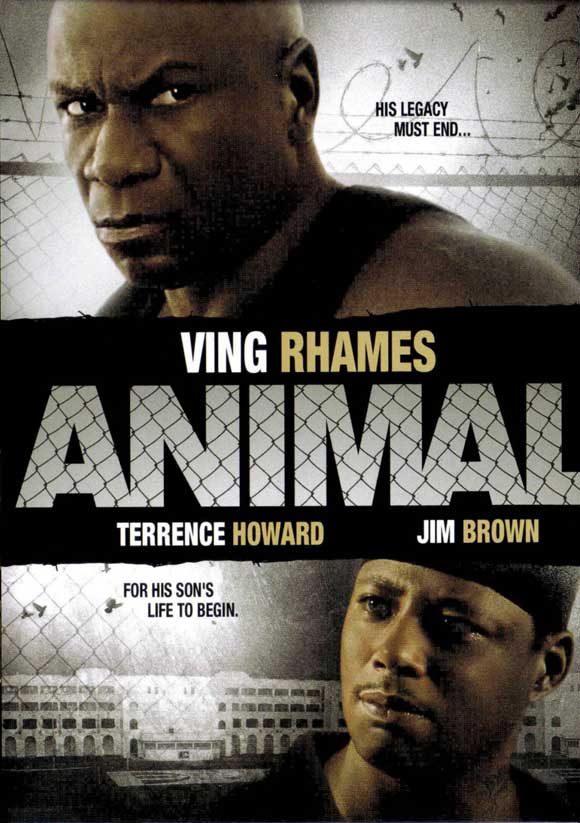 Animal Movie Poster Print showcasing vibrant colors and wild imagery.