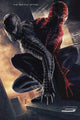 Spider-Man 3 Movie Poster Print (27x40) | Posterazzi