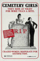 Vampire Hookers Movie Poster Print featuring vibrant colors and striking design.