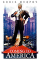 Coming to America Movie Poster Print 27x40 | Posterazzi