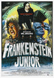 Young Frankenstein Movie Poster Print showcasing comedy and nostalgia.