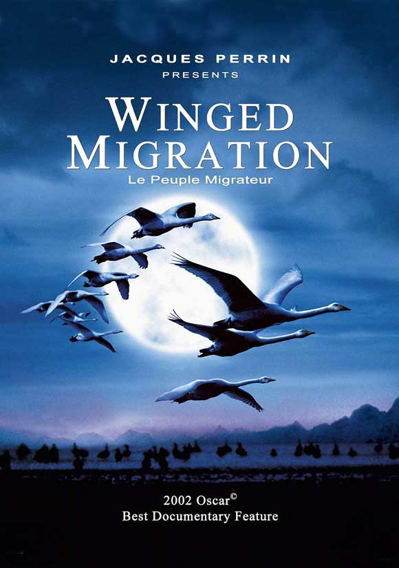 Winged Migration Movie Poster Print showcasing migratory birds.