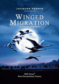 Winged Migration Movie Poster Print showcasing migratory birds.