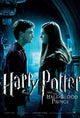 Harry Potter and the Half-Blood Prince Movie Poster Print (11x17)