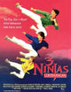 3 Ninjas Kick Back Movie Poster Print (11 x 17)