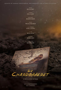 The Goldfinch Movie Poster Print (11x17) - Perfect for Home or Office