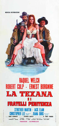 Hannie Caulder Movie Poster Print - Classic Western Artwork