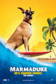 Marmaduke Movie Poster Print - 27x40 | Posterazzi