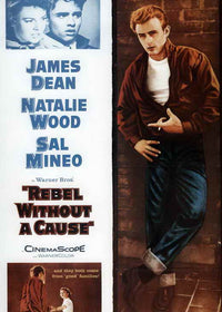 Rebel Without a Cause movie poster print showcasing classic film art.