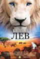 White Lion Movie Poster Print featuring a majestic lion