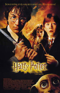 Harry Potter and the Chamber of Secrets Movie Poster Print 11x17
