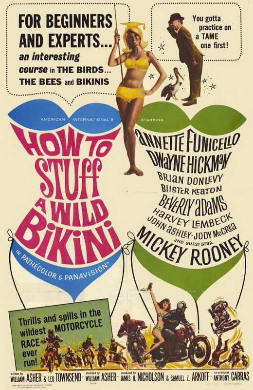 How to Stuff a Wild Bikini Movie Poster Print (11x17)