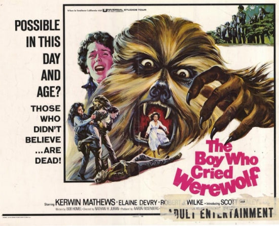 The Boy Who Cried Werewolf Movie Poster featuring vibrant artwork.