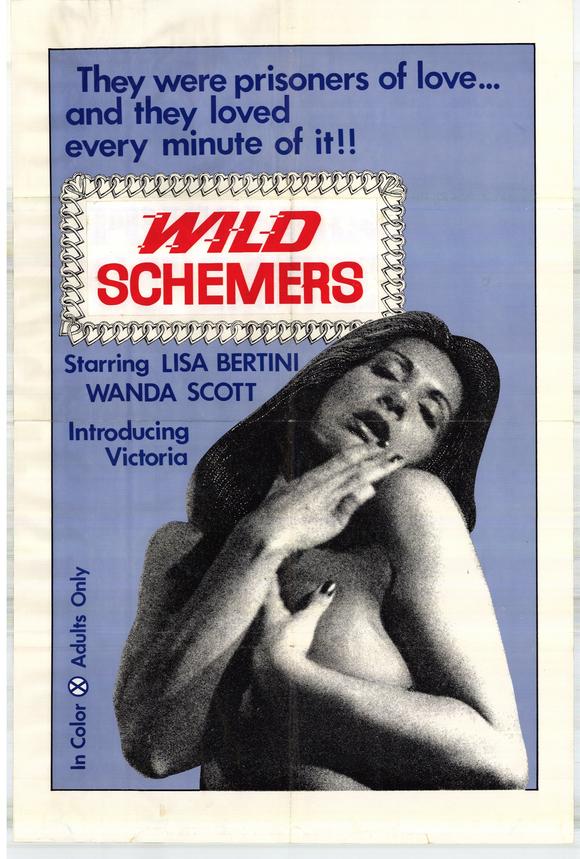Wild Schemers Movie Poster Print showcasing vibrant colors and cinematic art.