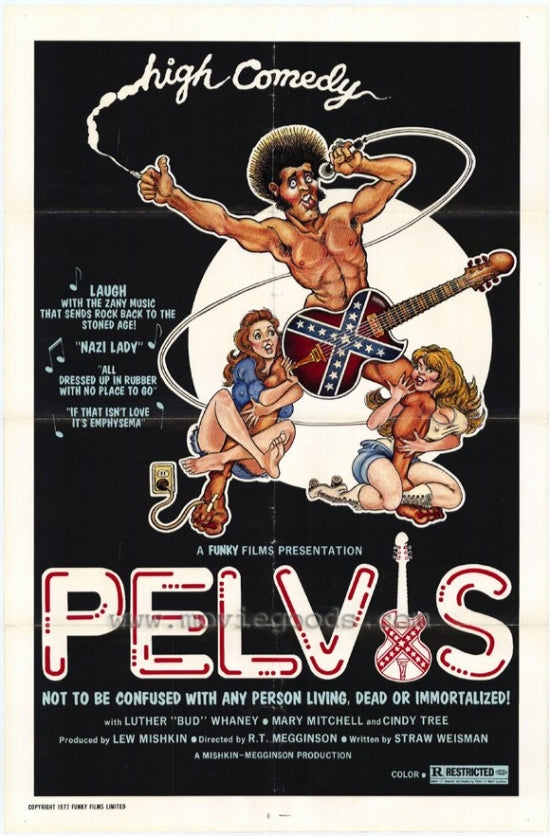 Pelvis Movie Poster Print featuring cinematic design.