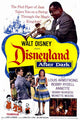 Disneyland After Dark Movie Poster Print (11x17)