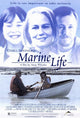 Marine Life Movie Poster Print showcasing colorful underwater creatures.