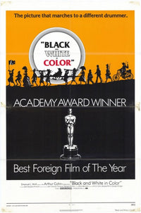 Black and White and Color Movie Poster showcasing a unique design.