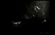 Batman Begins Movie Poster Print (11x17) - Item #MOVIF0286