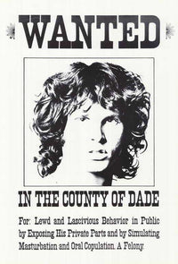 Jim Morrison Movie Poster Print (11x17) | Posterazzi