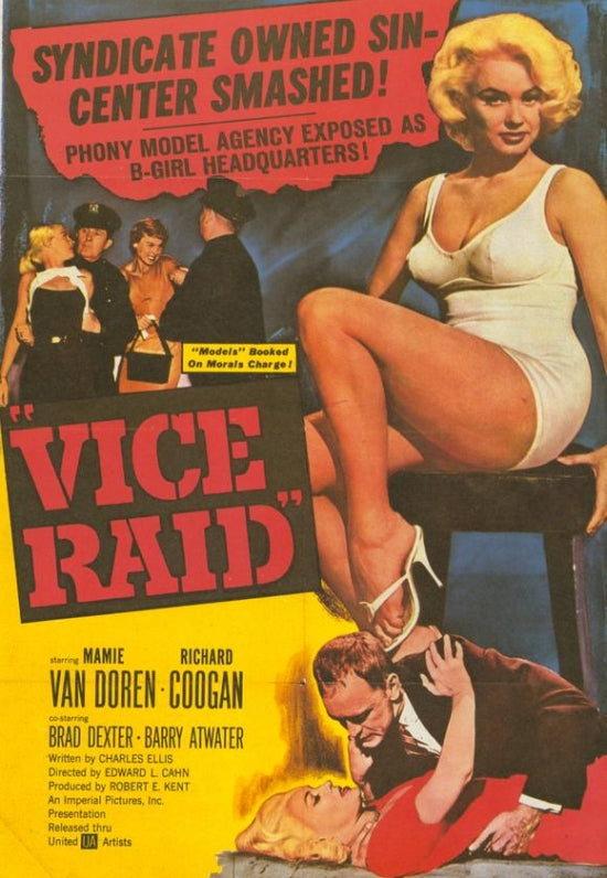 Vice Raid Movie Poster featuring action imagery and vibrant colors.