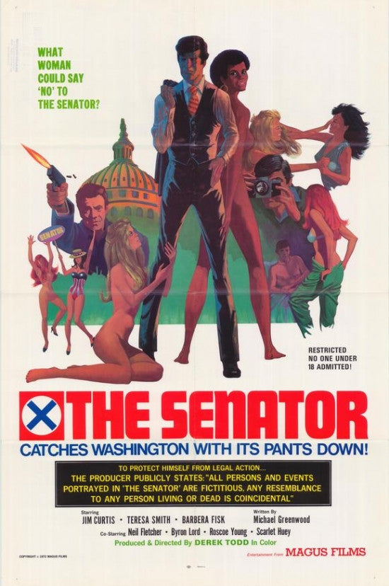 The Senator Movie Poster Print (27 x 40) | Pop Culture Graphics