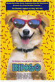 Bingo Movie Poster Print featuring vibrant colors and playful design.